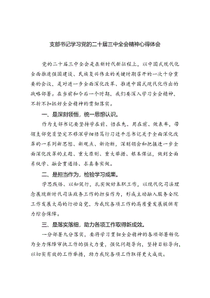 支部书记学习党的二十届三中全会精神心得体会（共五篇）.docx