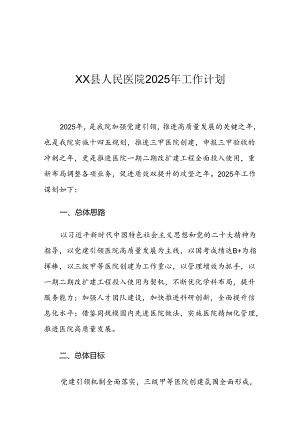 XX县人民医院2025年工作计划.docx