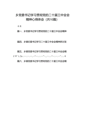 （10篇）乡党委书记学习贯彻党的二十届三中全会精神心得体会专题资料.docx