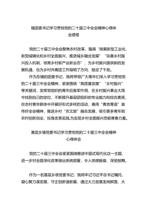 镇团委书记学习贯彻党的二十届三中全会精神心得体会感悟（共五篇）.docx