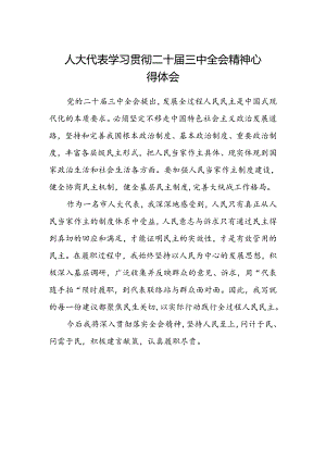 人大代表学习贯彻二十届三中全会精神心得体会.docx
