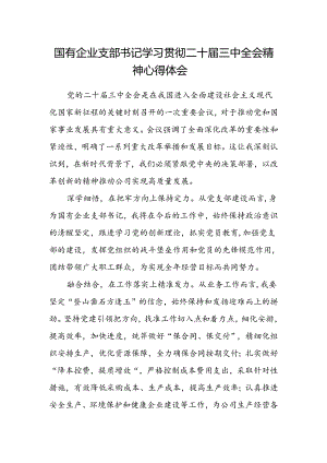 国有企业支部书记学习贯彻二十届三中全会精神心得体会.docx