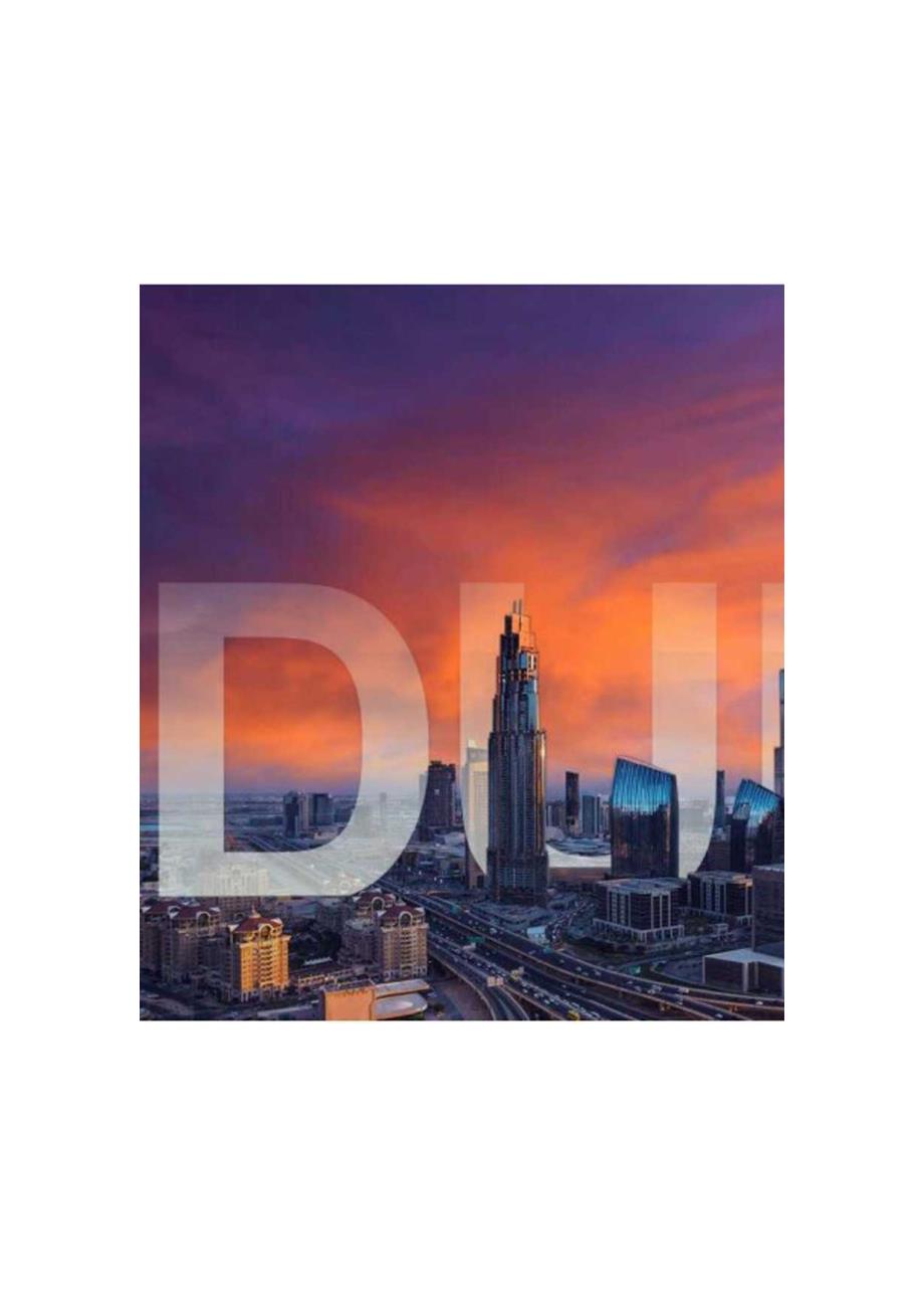 迪拜:全球贸易的门户.docx_第2页