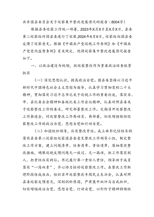 共青团县委员会关于巡察集中整改进展情况的报告（8004字）.docx