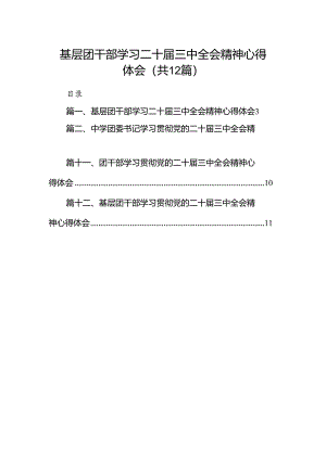 基层团干部学习二十届三中全会精神心得体会12篇（精选）.docx