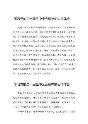 关于二十届三中全会精神的学习心得体会范文.docx