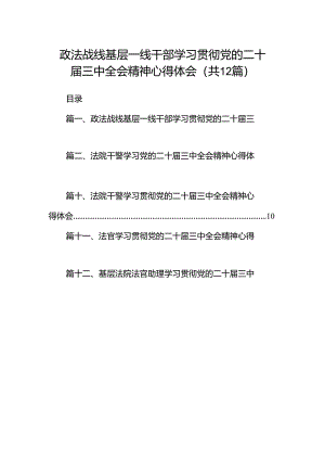 政法战线基层一线干部学习贯彻党的二十届三中全会精神心得体会（共12篇）.docx