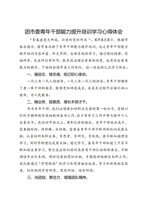 团市委青年干部能力提升培训学习心得体会.docx