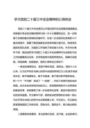 学习贯彻党的二十届三中全会精神的心得体会简短交流发言材料合集.docx