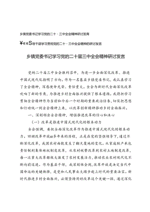 乡镇党委书记、领导干部学习党的二十届三中全会精神研讨发言.docx