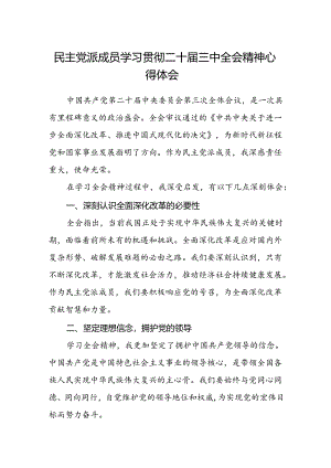 民主党派成员学习贯彻二十届三中全会精神心得体会.docx