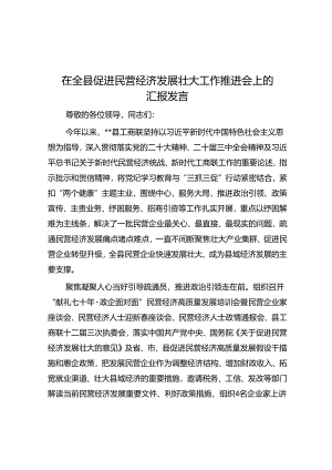在全县促进民营经济发展壮大工作推进会上的汇报发言.docx