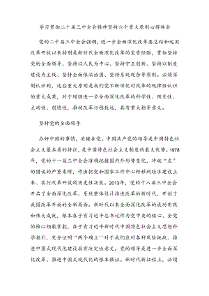学习贯彻二十届三中全会精神坚持六个重大原则心得体会.docx
