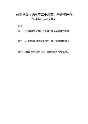 公司党委书记学习二十届三中全会精神心得体会（共12篇）.docx