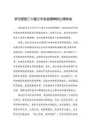 学习党的二十届三中全会公报心得感悟二十六篇.docx