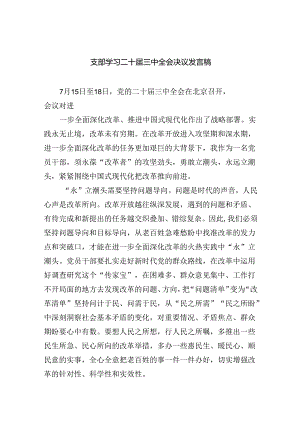 （8篇）支部学习二十届三中全会决议发言稿范文.docx