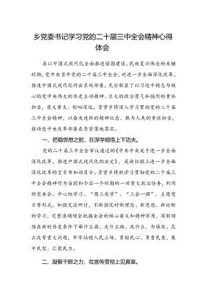 乡党委书记学习党的二十届三中全会精神心得体会.docx