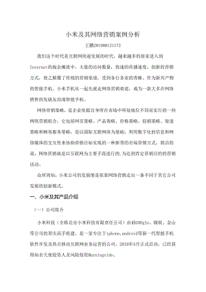 小米及其网络营销案例分析.docx
