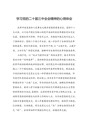 学习贯彻党的二十届三中全会精神的心得体会简短交流发言材料最新版39篇.docx