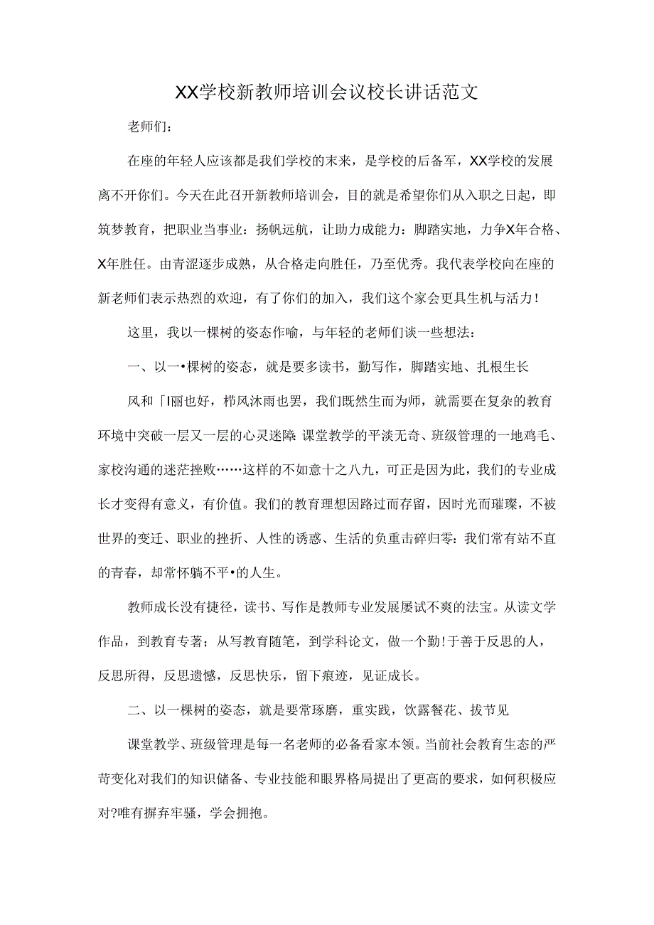 XX学校新教师培训会议校长讲话范文.docx_第1页