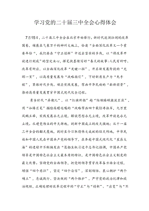 学习2024年学习党的二十届三中全会个人心得感悟 （3份）_74.docx