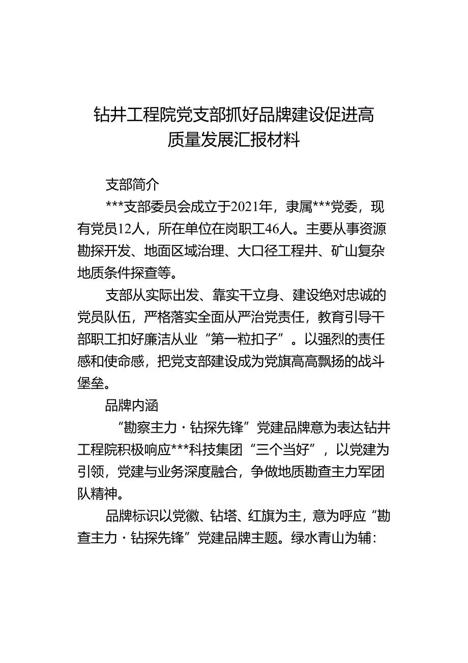 钻井工程院党支部抓好品牌建设促进高质量发展汇报材料.docx_第1页