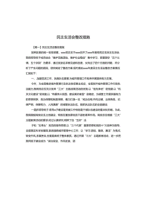 民主生活会整改措施.docx