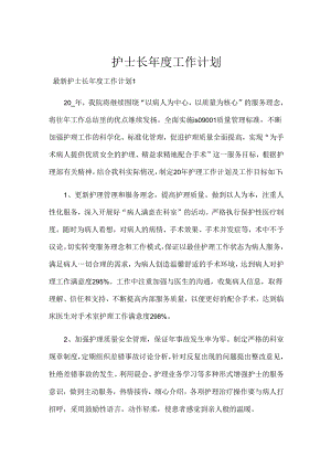 护士长年度工作计划.docx