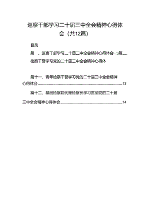 巡察干部学习二十届三中全会精神心得体会范文12篇（最新版）.docx