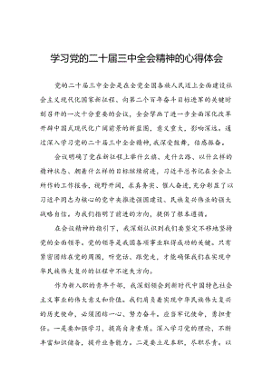 2024年党的二十届三中全会精神学习体会交流发言稿精品三十篇.docx