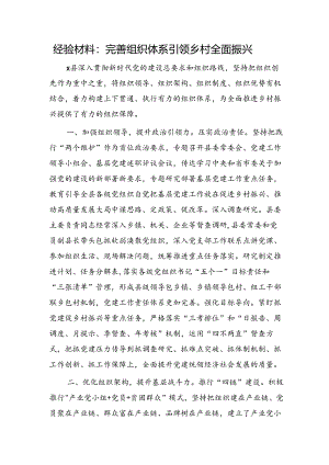 经验总结：完善组织体系引领乡村全面振兴.docx