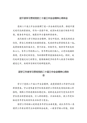 团干部学习贯彻党的二十届三中全会精神心得体会8篇专题资料.docx