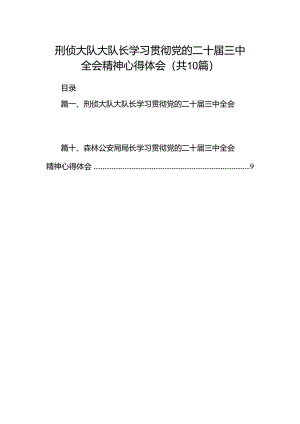 刑侦大队大队长学习贯彻党的二十届三中全会精神心得体会10篇（详细版）.docx