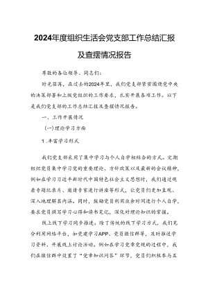 2024年度组织生活会党支部工作总结汇报及查摆情况报告.docx