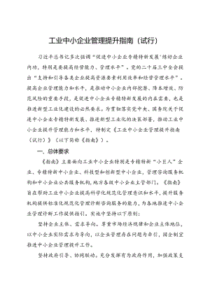 2024.8工业中小企业管理提升指南（试行）.docx