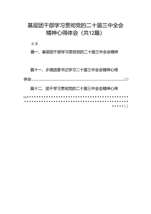 基层团干部学习贯彻党的二十届三中全会精神心得体会 （汇编12份）.docx