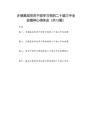 乡镇基层党员干部学习党的二十届三中全会精神心得体会12篇（详细版）.docx