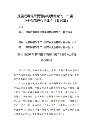 （10篇）基层戒毒场所民警学习贯彻党的二十届三中全会精神心得体会集合.docx