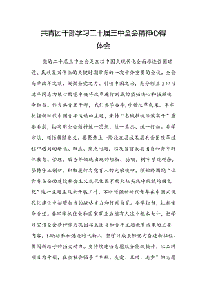 共青团干部学习二十届三中全会精神心得体会.docx
