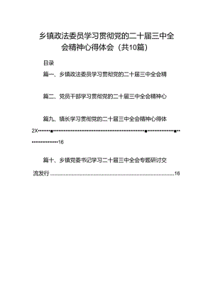（10篇）乡镇政法委员学习贯彻党的二十届三中全会精神心得体会集合.docx