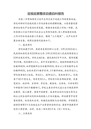 巡视巡察整改自查自纠报告.docx