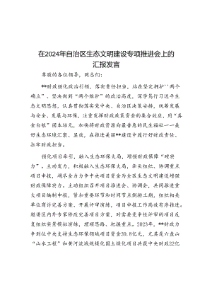 在2024年自治区生态文明建设专题推进会上的汇报发言.docx