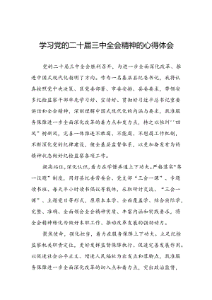 2024年党的二十届三中全会精神学习体会交流发言稿模板三十篇.docx