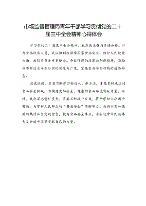 市场监督管理局青年干部学习贯彻党的二十届三中全会精神心得体会.docx