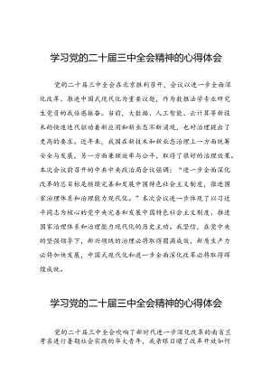 关于二十届三中全会精神学习体会例文五十五篇.docx