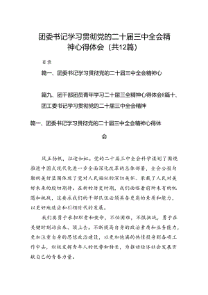 团委书记学习贯彻党的二十届三中全会精神心得体会(12篇集合).docx