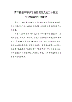 青年检察干警学习宣传贯彻党的二十届三中全会精神心得体会.docx