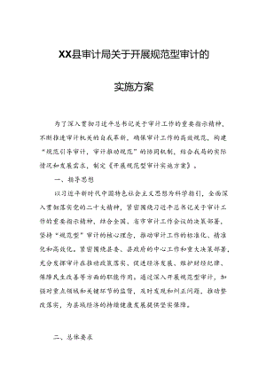 XX县审计局关于开展规范型审计的实施方案.docx