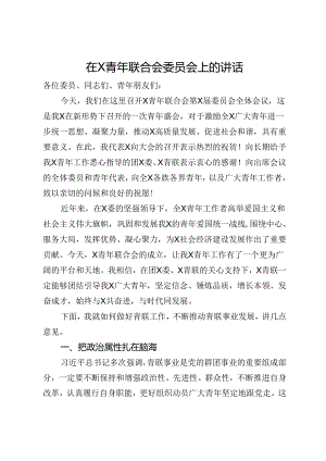 在青年联合会委员会上的讲话.docx