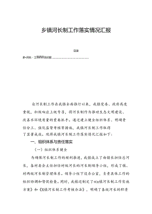 乡镇河长制工作落实情况汇报.docx